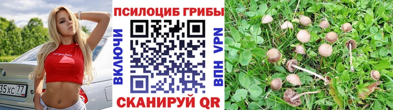 как найти закладки  Ликино-Дулёво  KRAKEN как зайти  Псилоцибиновые грибы MAGIC MUSHROOMS 
